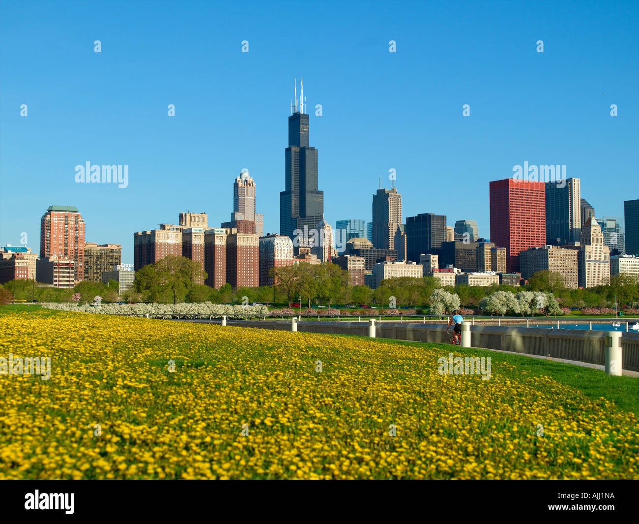 Chicago, Lake Michigan, Skyline, Sears Tower Stock Photo - Alamy