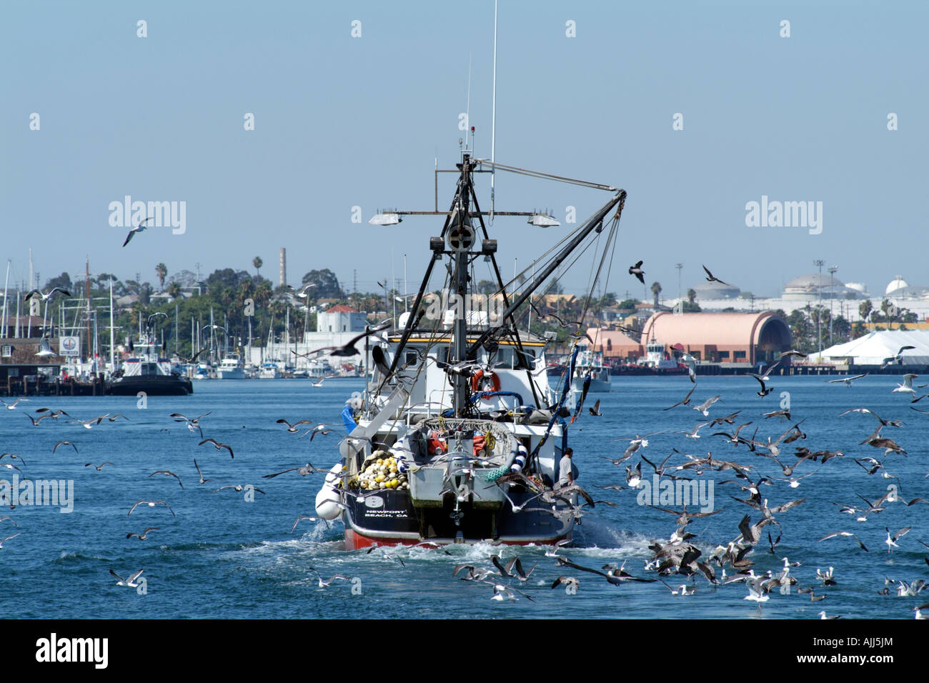 LA County Fishing – Beaches & Harbors