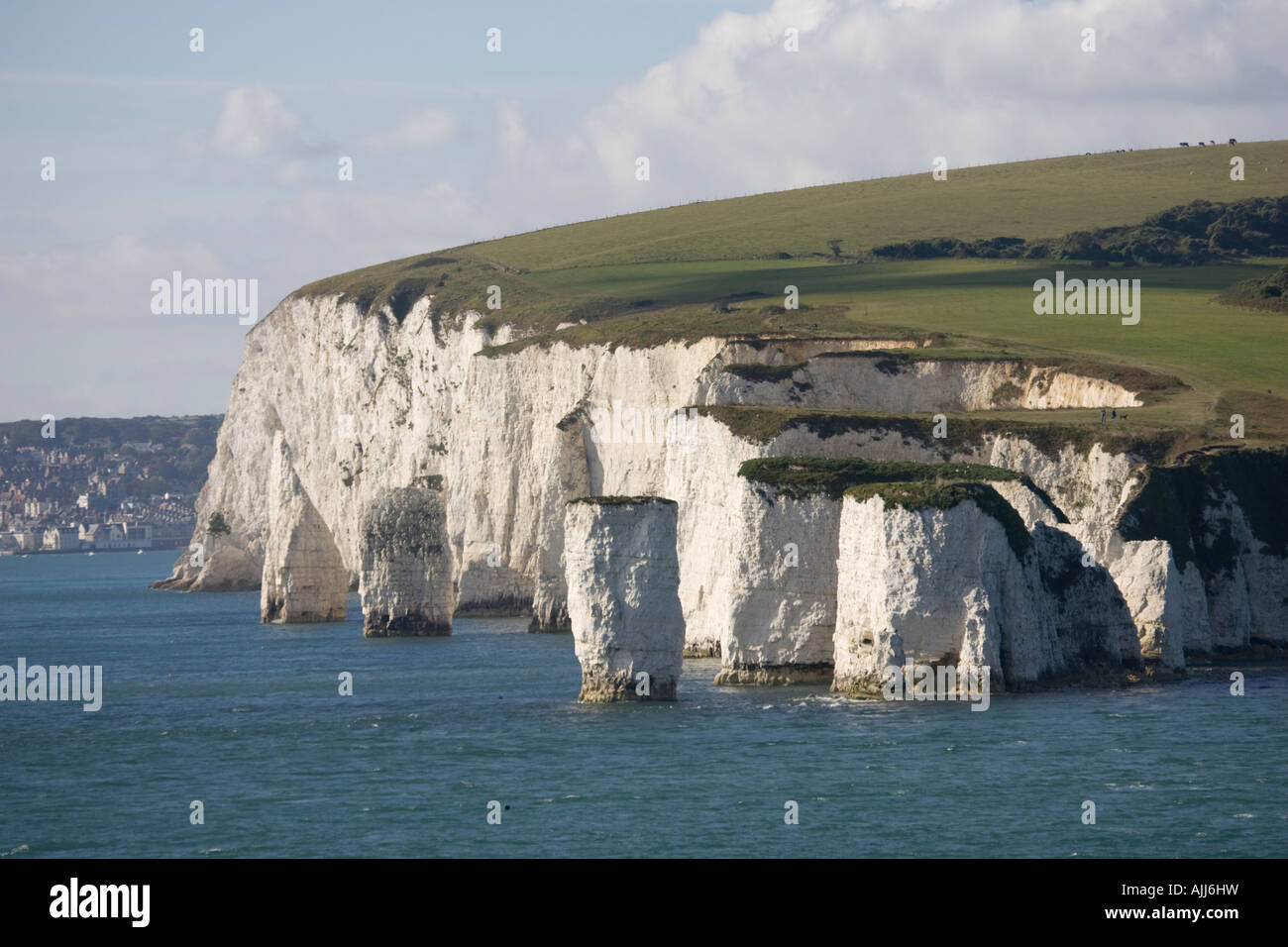 Chalk cliffs and sea stacks Harry Rocks near Studland Poole Harbour