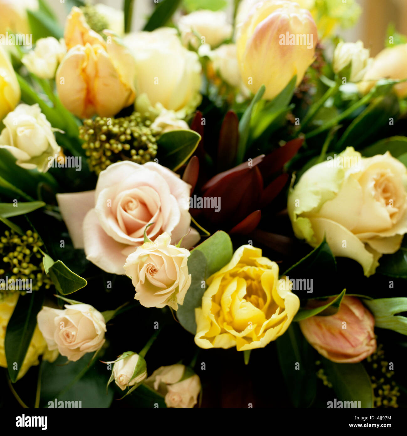 Bouquet of roses and tulips Stock Photo Alamy