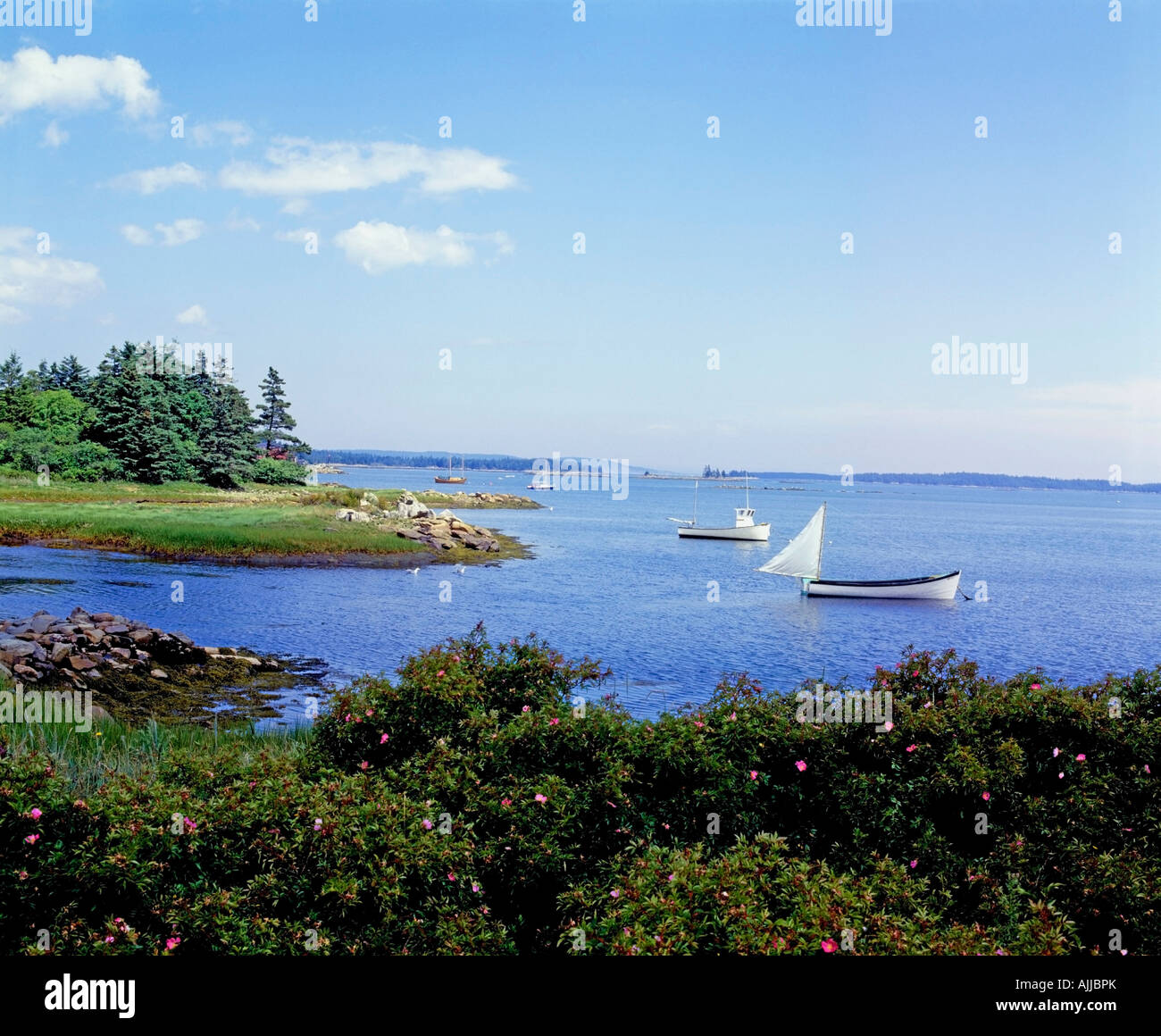 Boats in water, LaHave, Nova Scotia Stock Photo Alamy