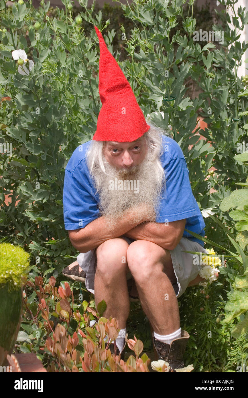 A man dressed as a bearded gnome wearing a pointed red hat, crouches in a garden with a bemused expression on his face. Stock Photo
