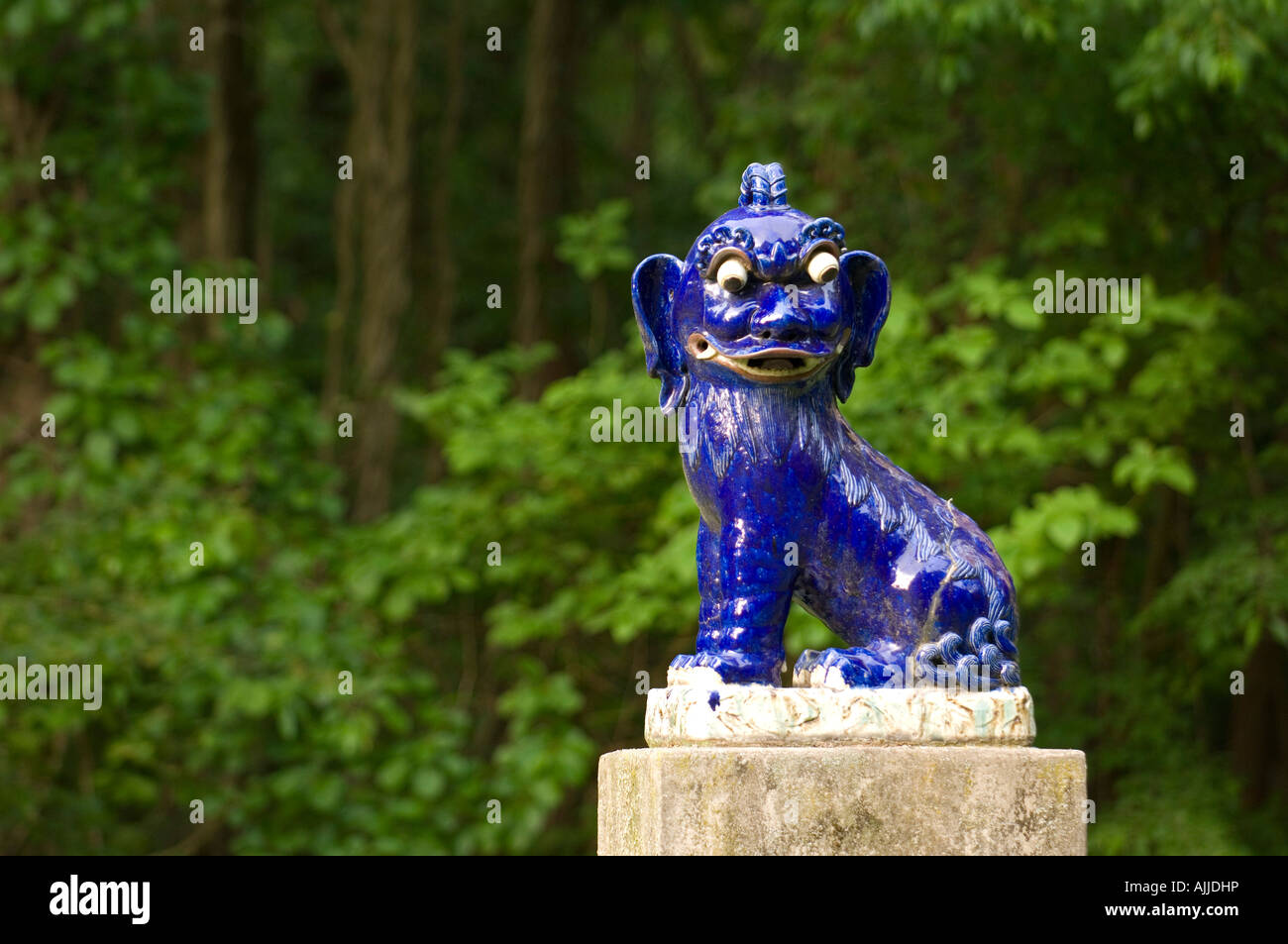 Dog fu hires stock photography and images Alamy