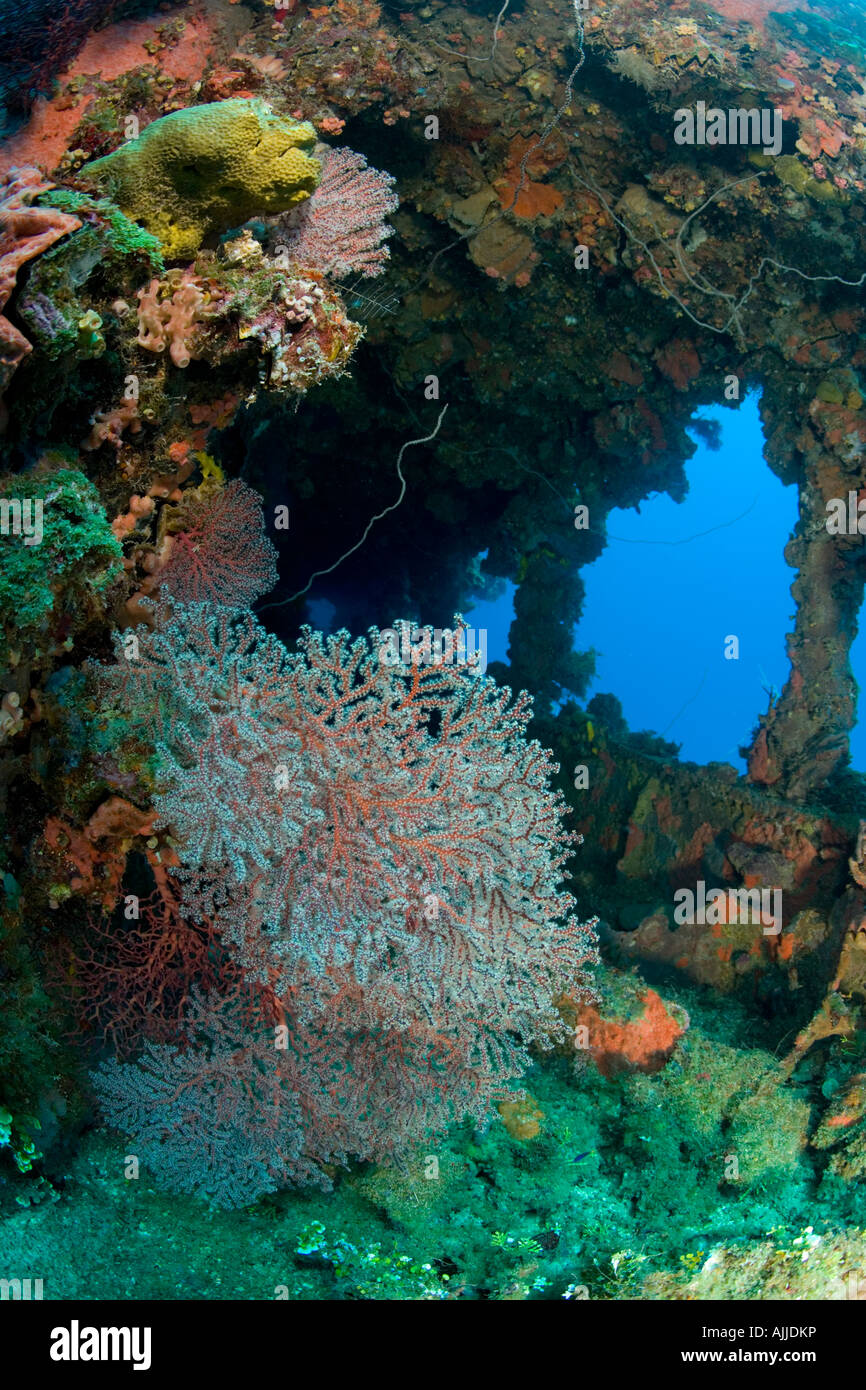 Exterior of sunken ship Fujikawa Maru Truk Lagoon Chuuk Federated States of Micronesia Stock Photo