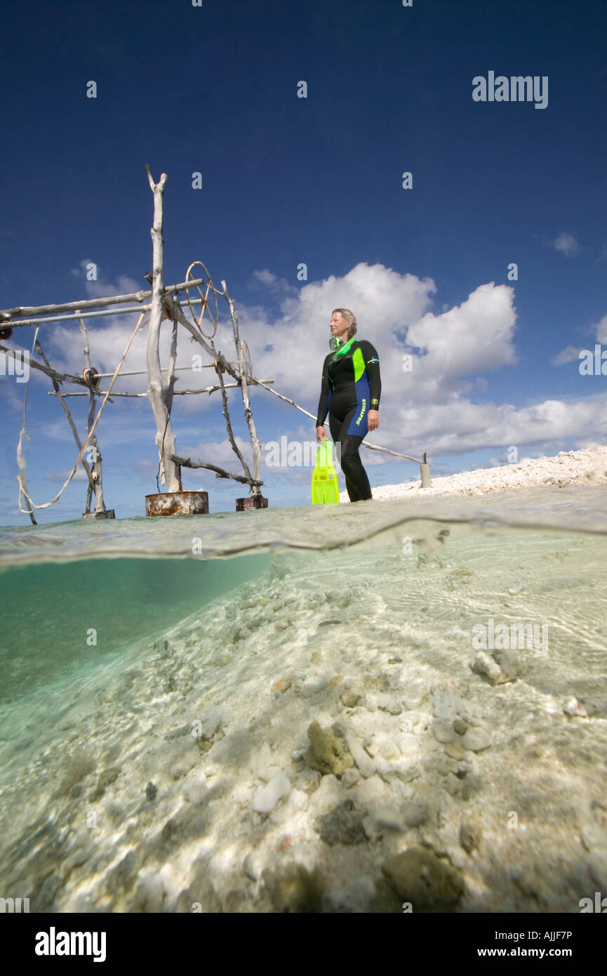 Under over views in shallow water at Toau Atoll French Polynesia Stock Photo