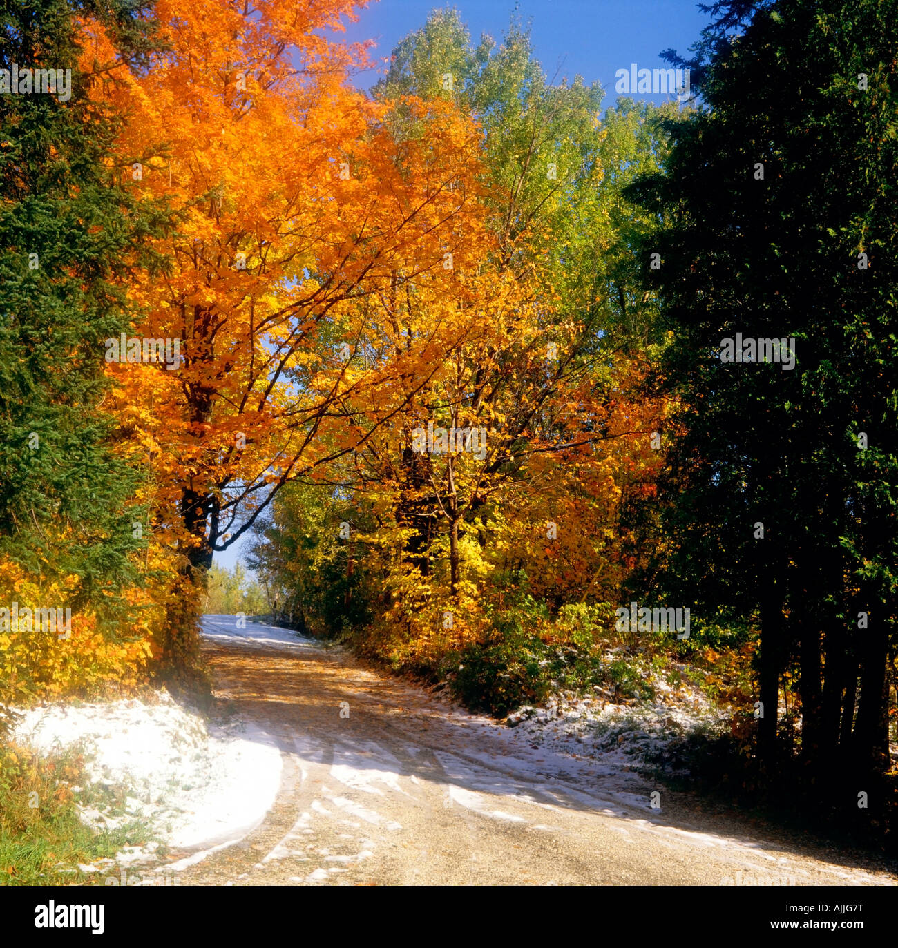 Soft focus scene hi-res stock photography and images - Alamy