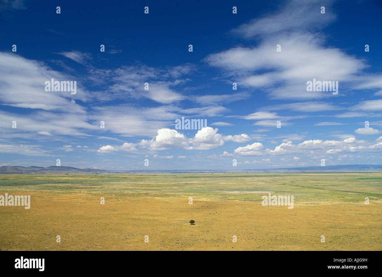Burns basin hi-res stock photography and images - Alamy