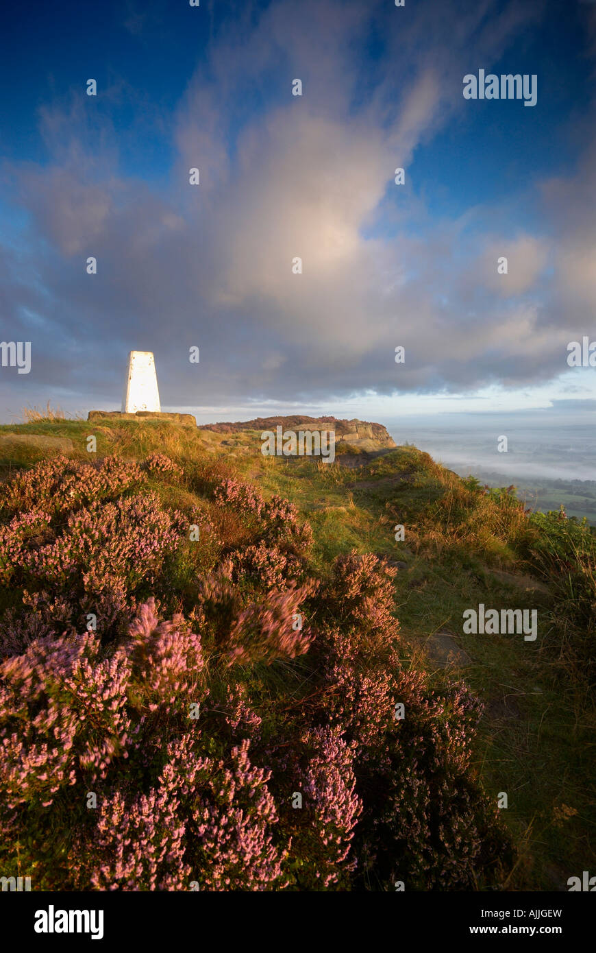 The Survey Point Surrounded With Heather Cloudside Bosley Cloud Cheshire UK Stock Photo