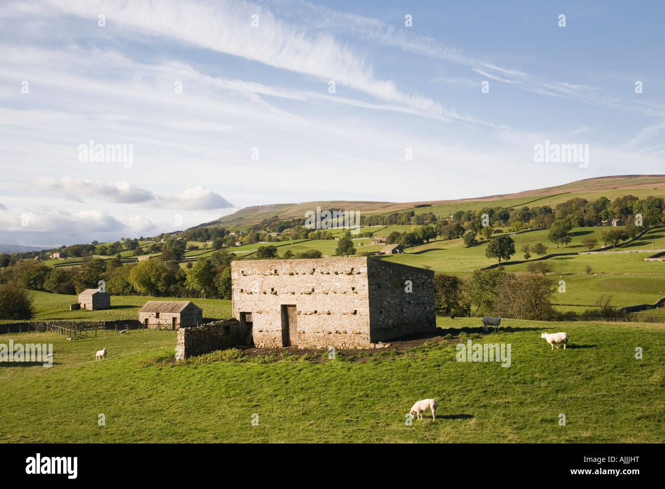 Typical rural farmland landscape across Wensleydale valley in Yorkshire Dales National Park North Yorkshire England UK Britain Stock Photo