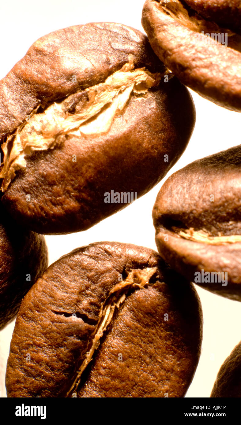 Coffee beans Stock Photo