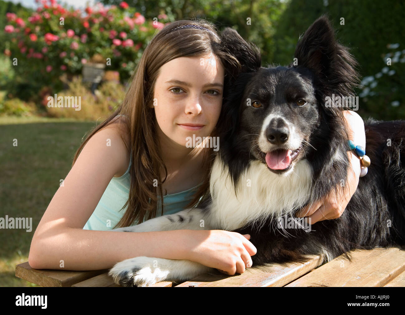 Border Collie  Your Intelligent, Affectionate Friend