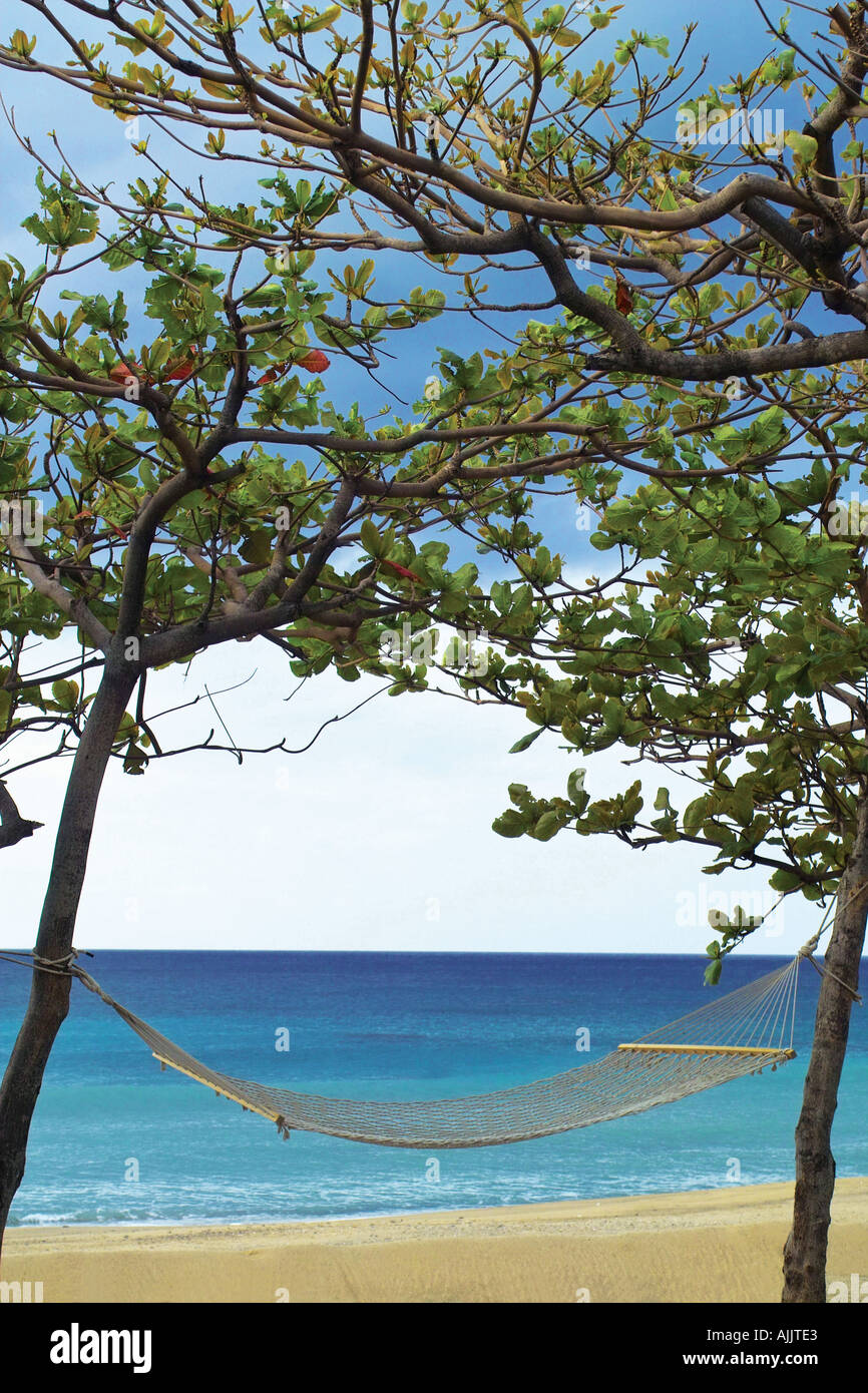 Hammock tied between two trees on the beach Stock Photo Alamy