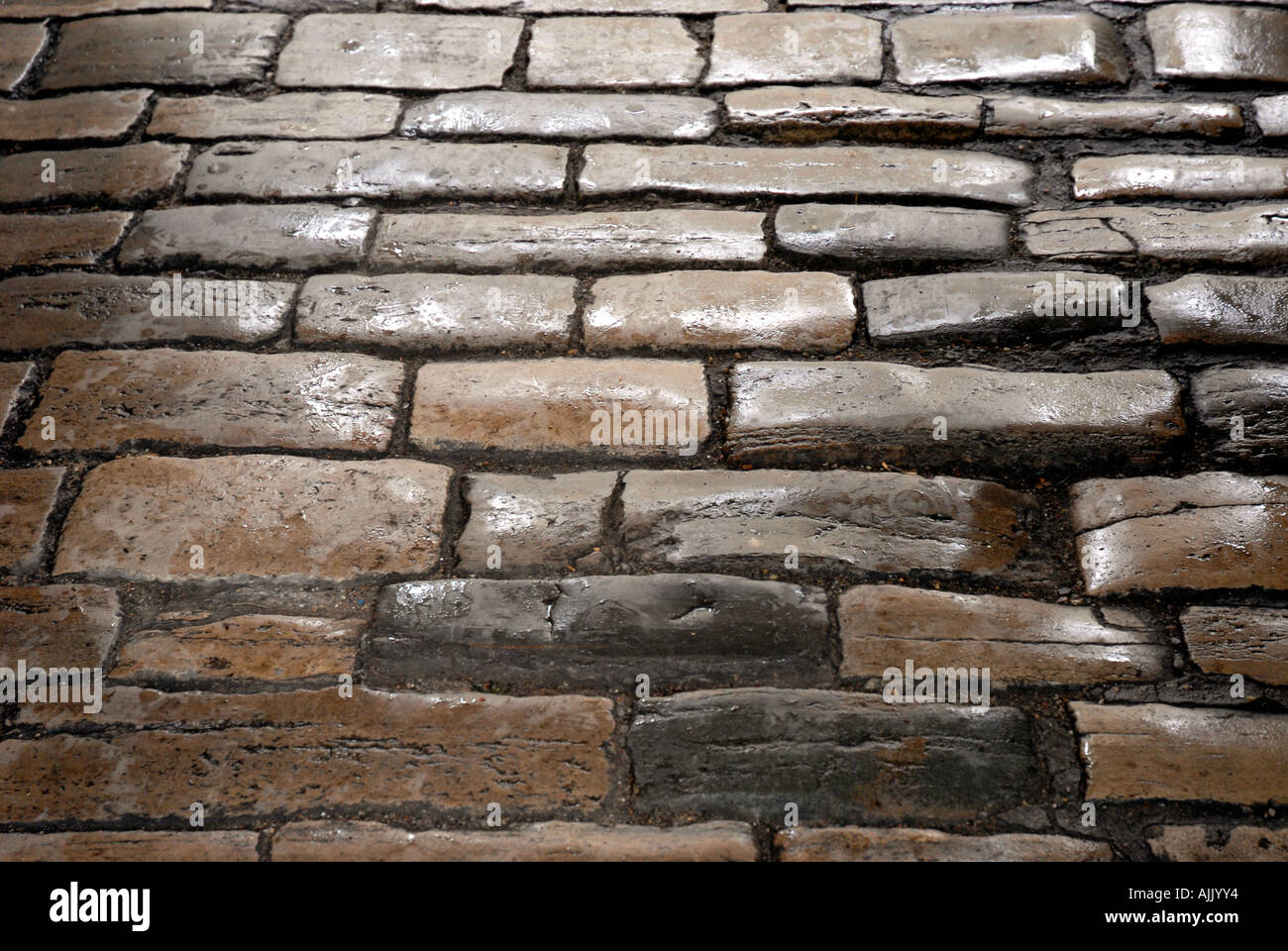 A wet cobblestone pathway Stock Photo