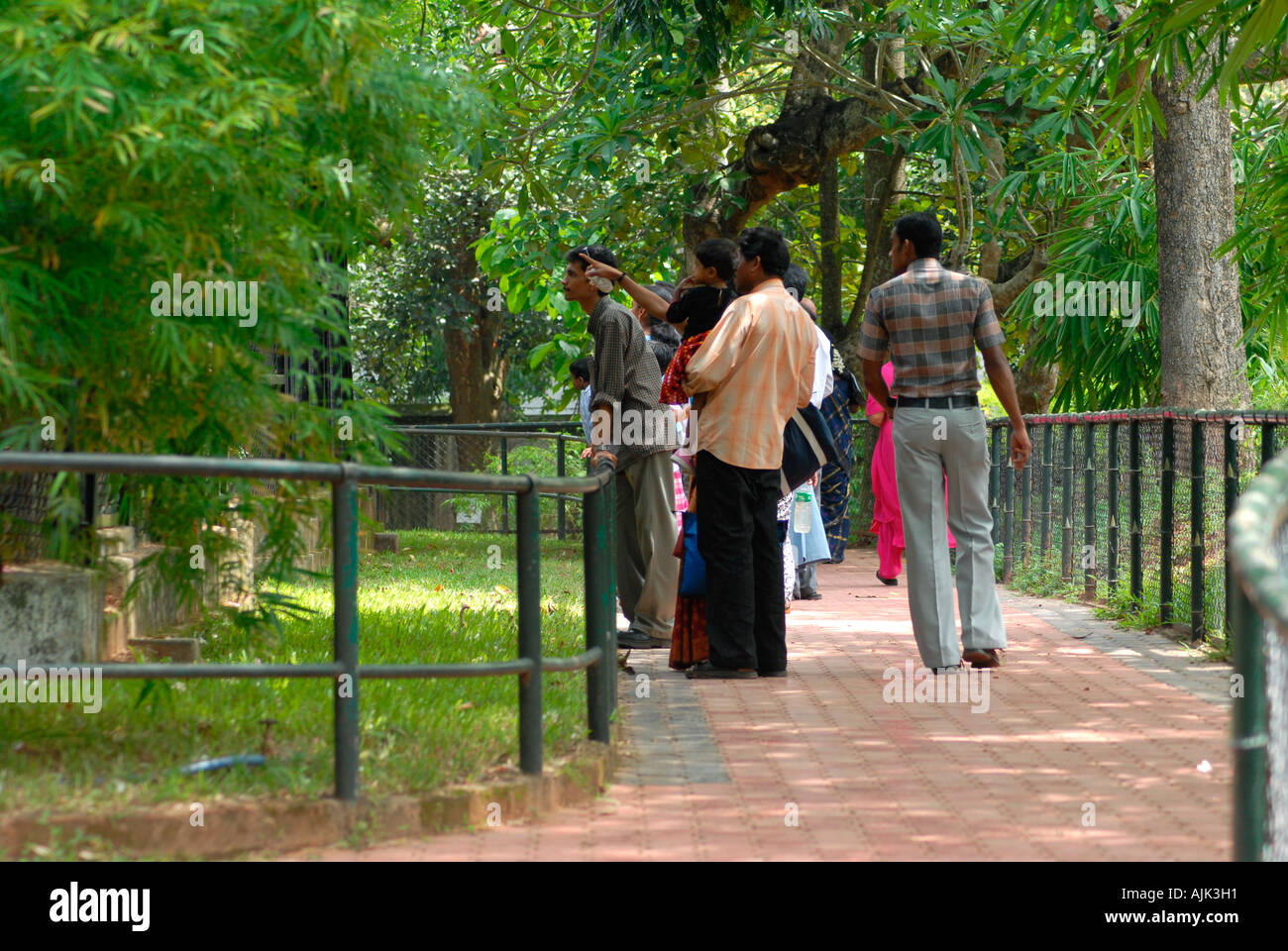 Crowd enjoying the scenes inside the zoo Stock Photo Alamy