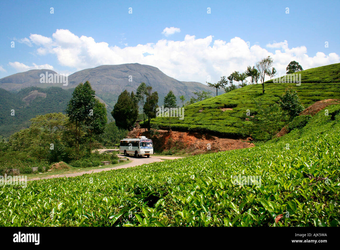 A bus carrying tourists arriving at the tea estate in Munnar, Kerala Stock Photo