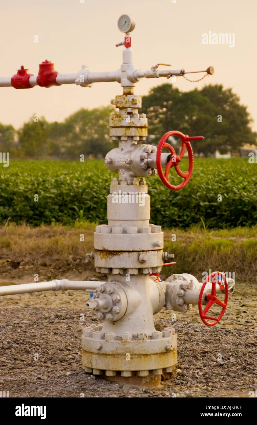 Well Christmas tree Stock Photo Alamy