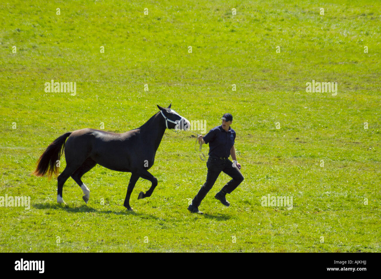 A man running with a horse across a green field Stock Photo