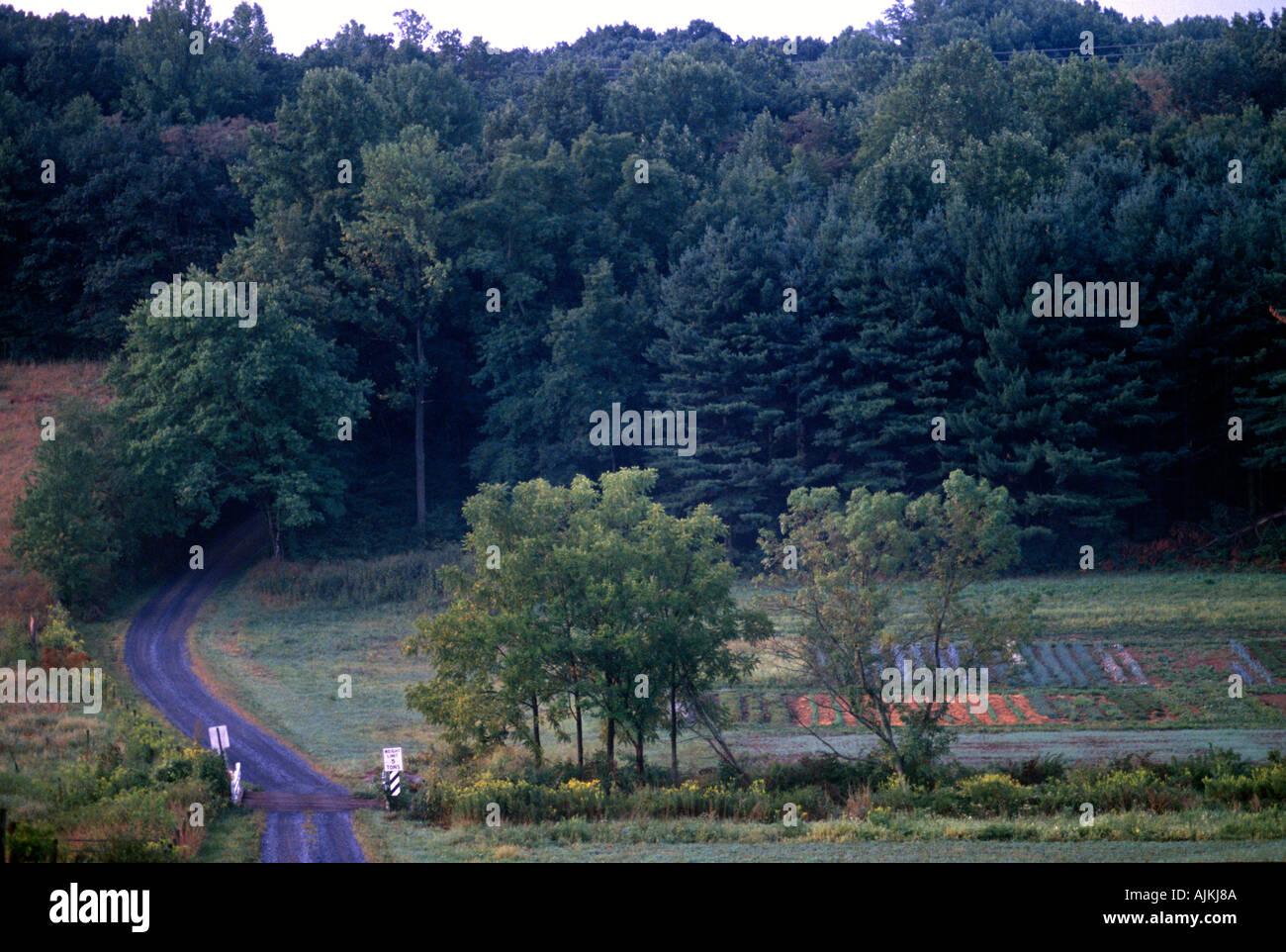 Country lane north of Lancaster Pennsylvania USA Stock Photo