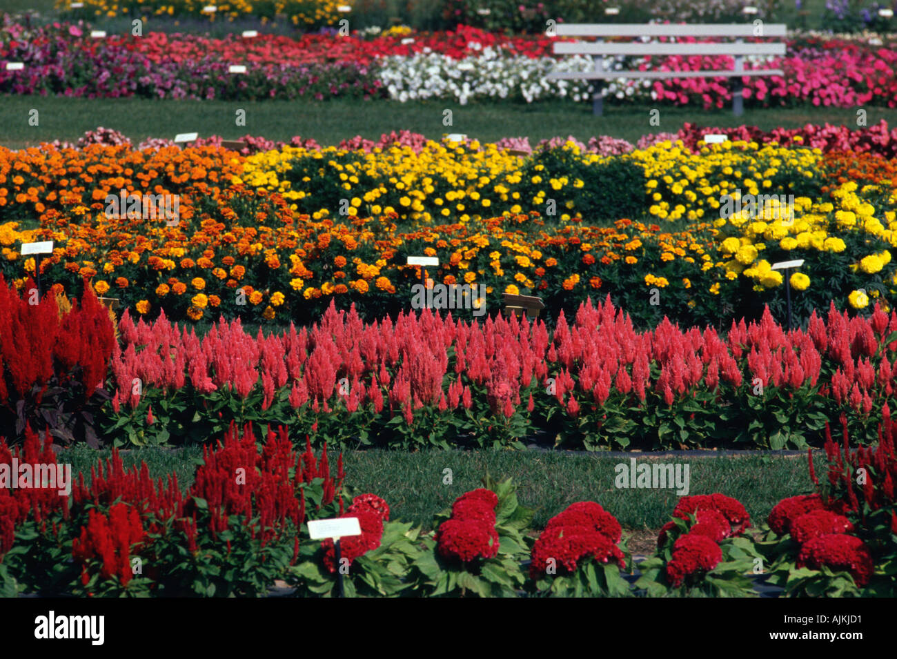 Summer test garden plots at Penn State University State College