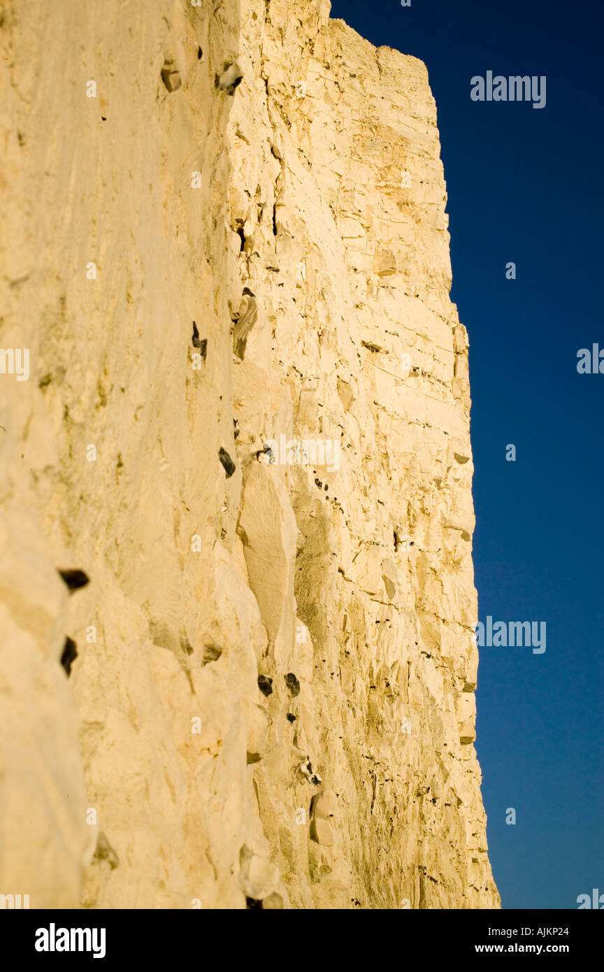 Chalk cliff at Beachy Head Stock Photo Alamy