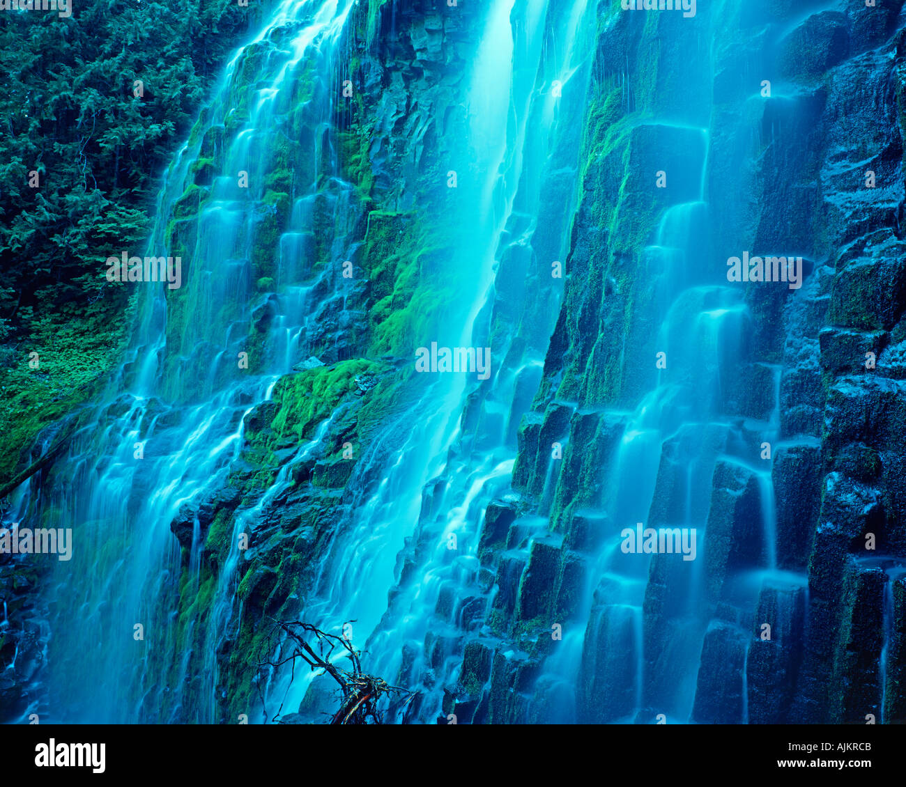 Proxy Falls in Willamette National Forest of Oregon USA Stock Photo