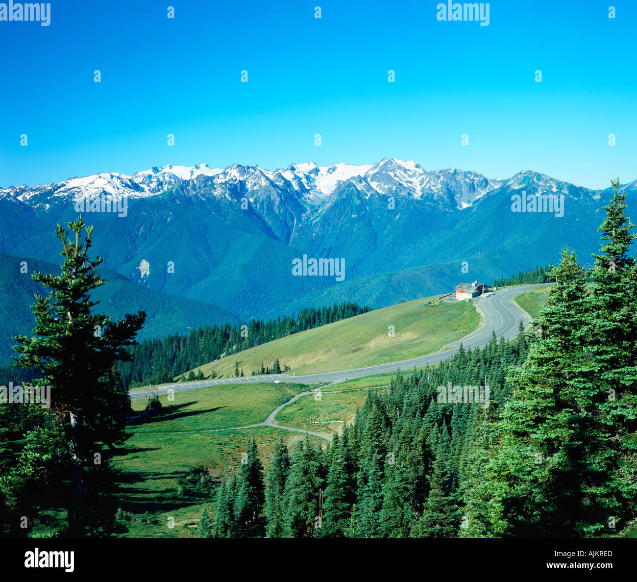 Hurricane Ridge in Olympic National Park in Washington State USA Stock Photo