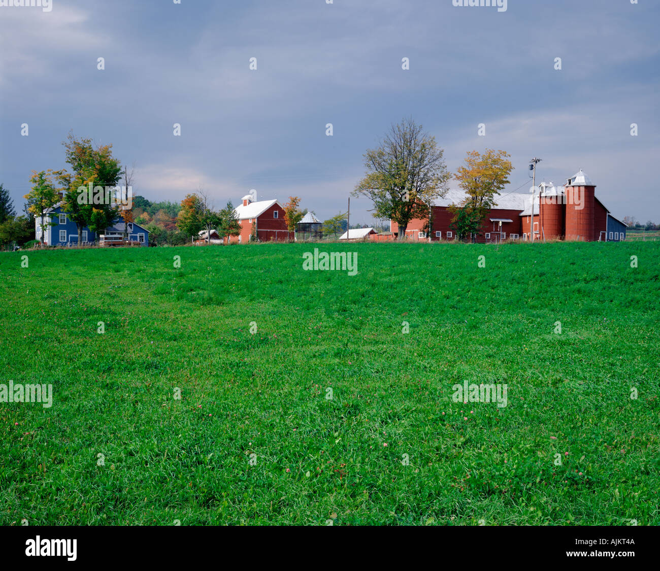 farm near village of Worcester New York USA Stock Photo Alamy