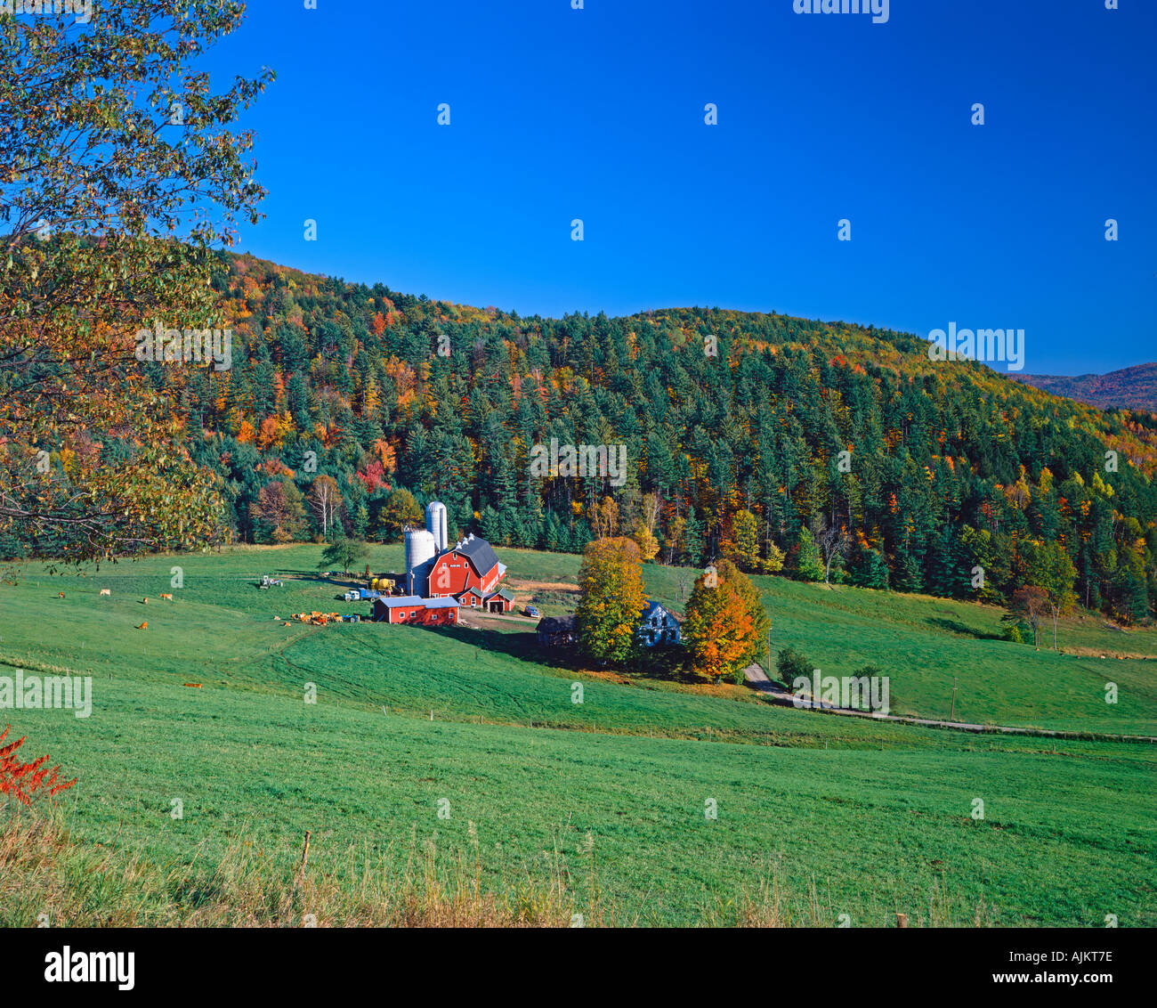 farm countryside near the village of Barnard Vermont USA Stock Photo