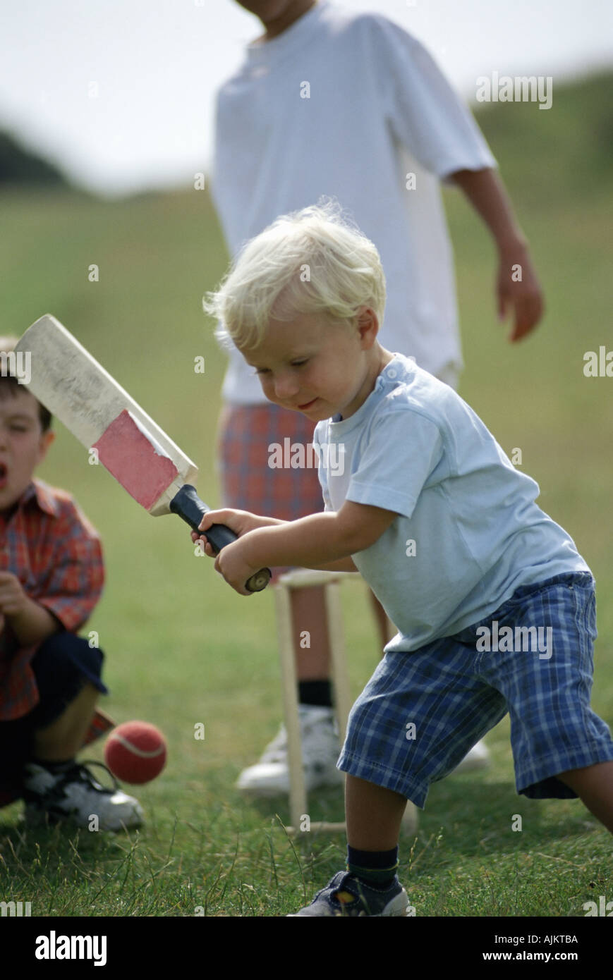 Boys playing cricket Stock Photo Alamy