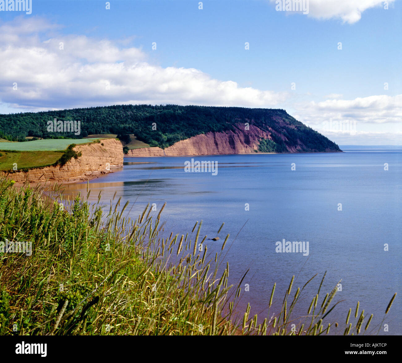Bay Of Fundy Nova Scotia Stock Photo Alamy Bay Of Fundy Nova Scotia Stock Photo Alamy