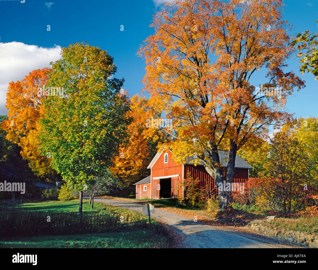farm near Hamden New York USA during Fall foliage season Stock Photo Alamy
