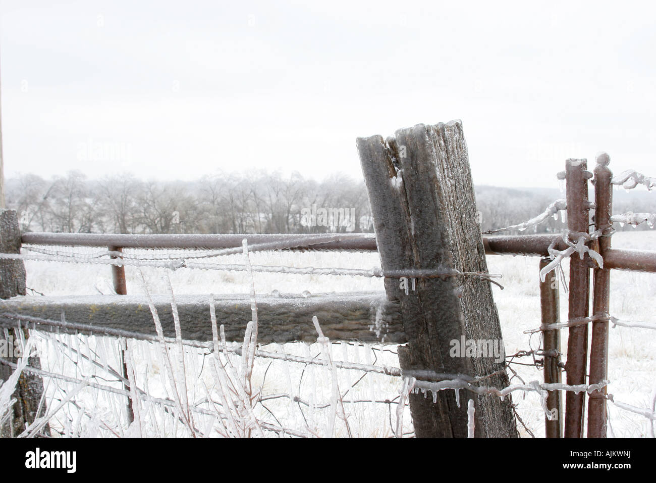 icy fence row Stock Photo