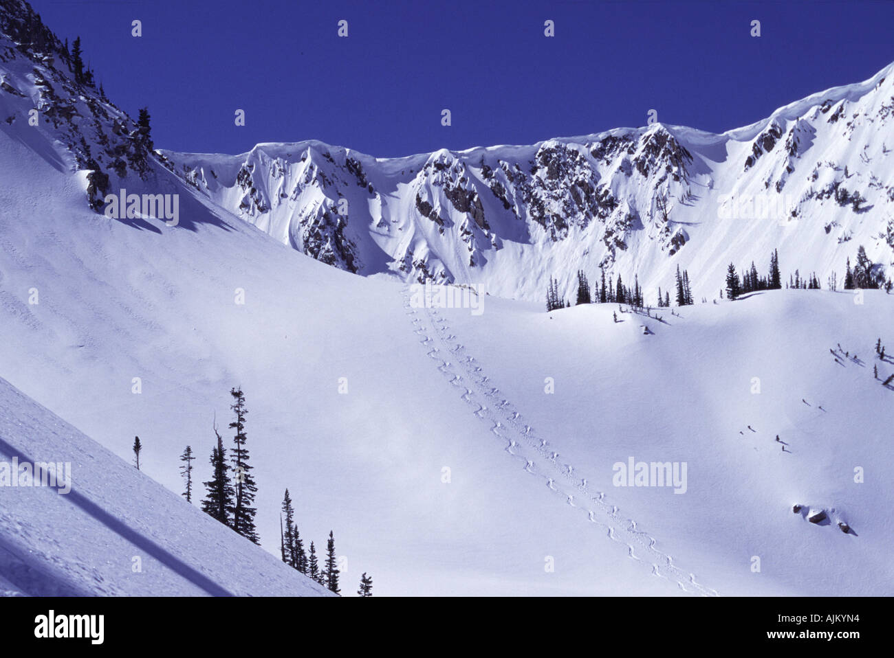 3021bsptel hires stock photography and images Alamy