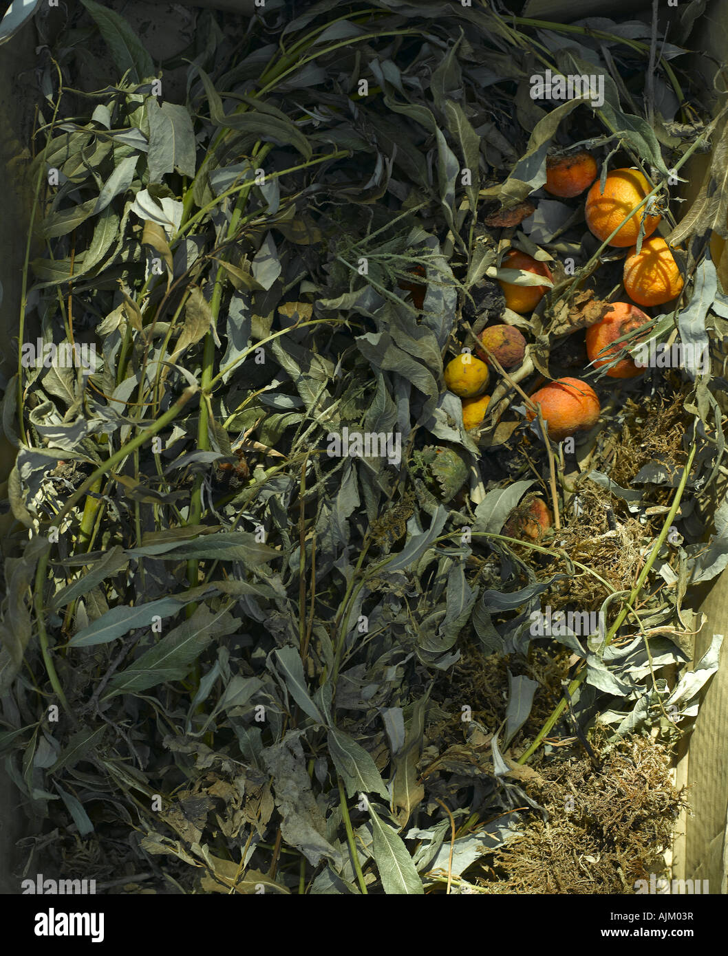 Compost gardens hi-res stock photography and images - Alamy