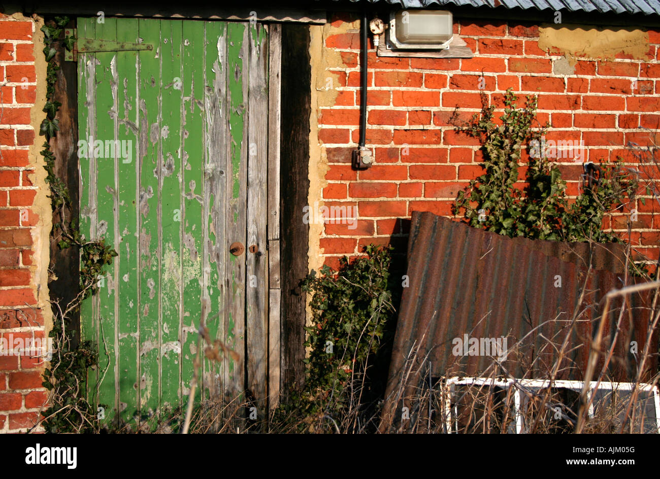 green door on a disused red brick barn with a corrugated iron sheet lying against the ivy-clad wall Stock Photo