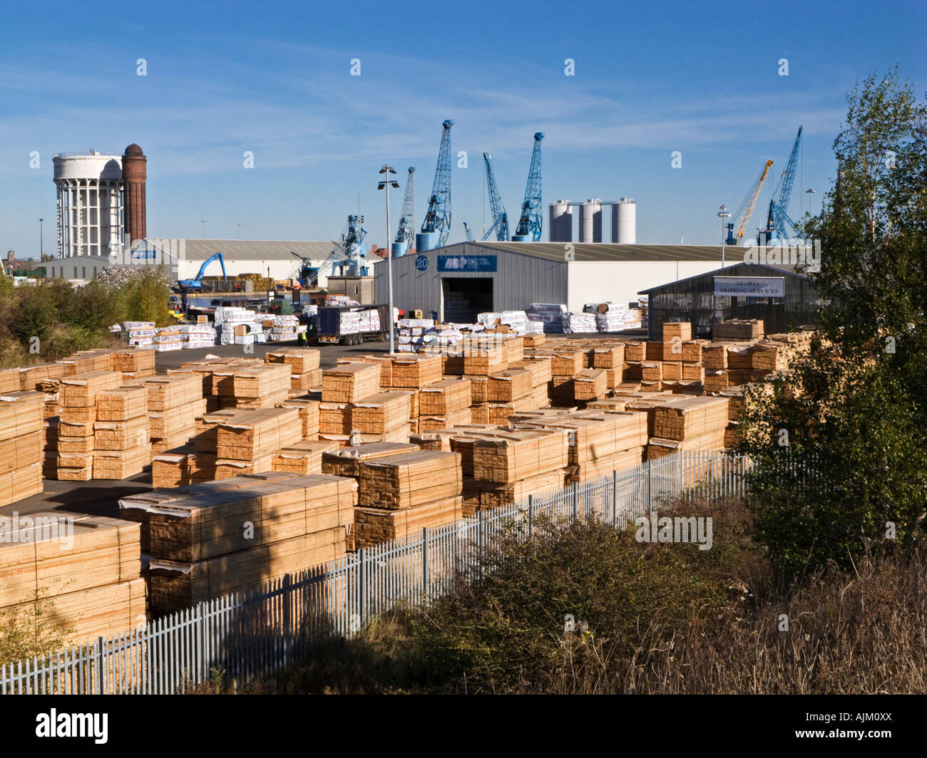 Imported timber at Goole docks Goole East Yorkshire UK Stock Photo Alamy