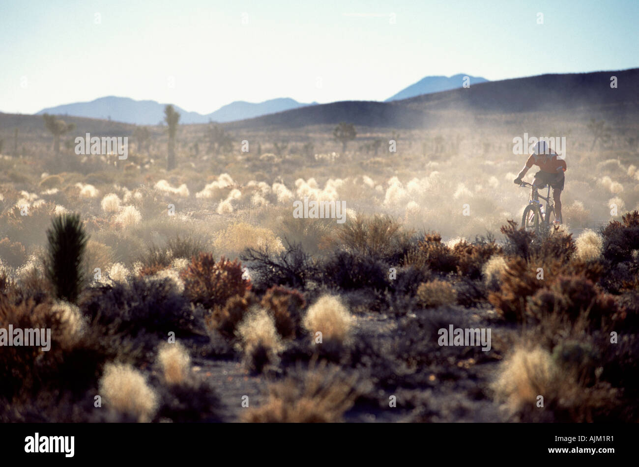 A man mountain biking in the desert near Death Valley CA Stock Photo