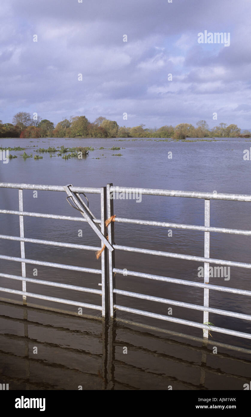Flooded field and barred metal gate between Pentre and Melverley, Shropshire in October 2004 Stock Photo