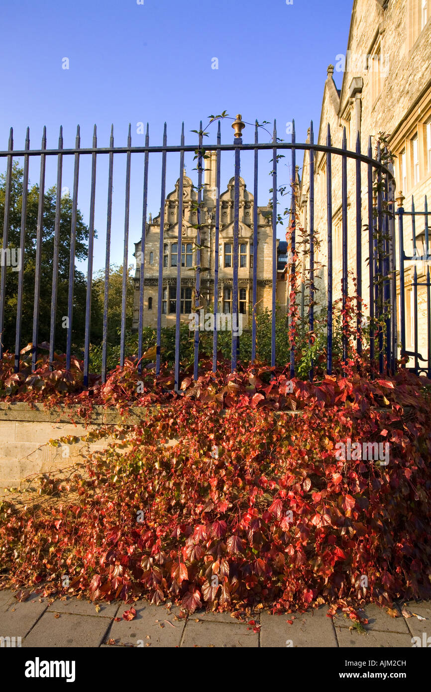 Autumn colors Oxford red orange Virginia Creeper growing against wall railings Stock Photo