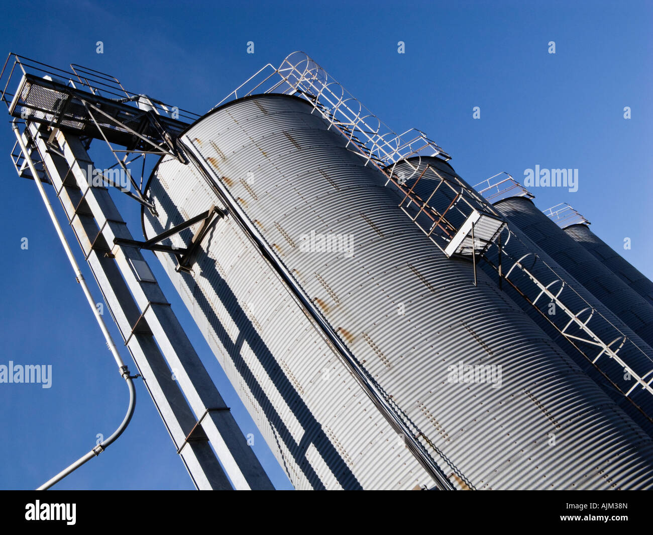 Large metal Grain silos at the docks in Goole East Yorkshire UK Stock Photo