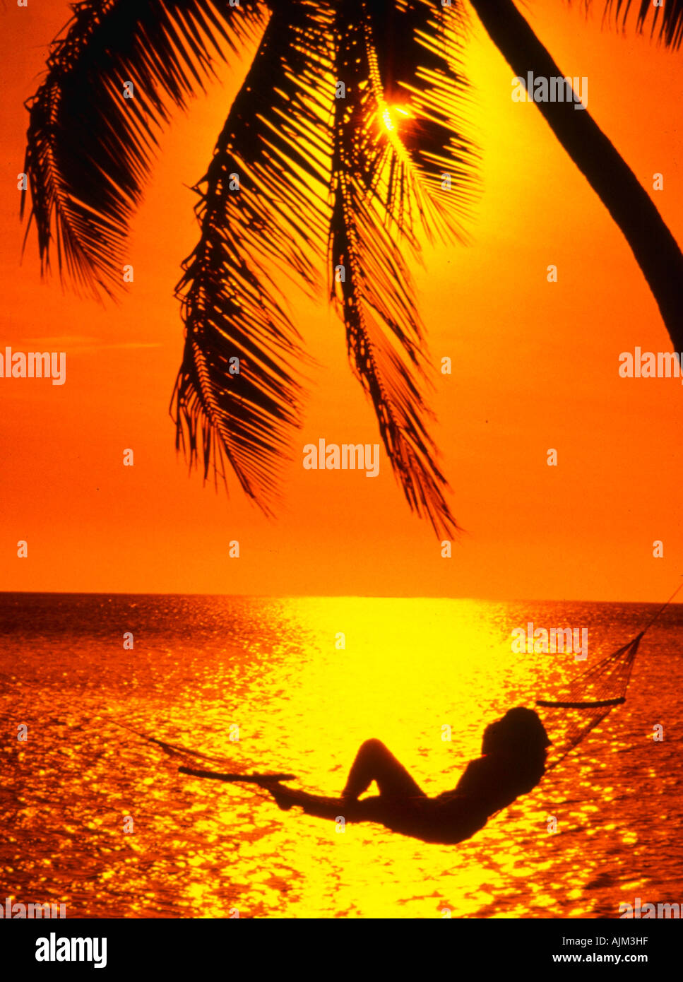 Bora Bora Beach Sunset Bora Bora Beach Sunset