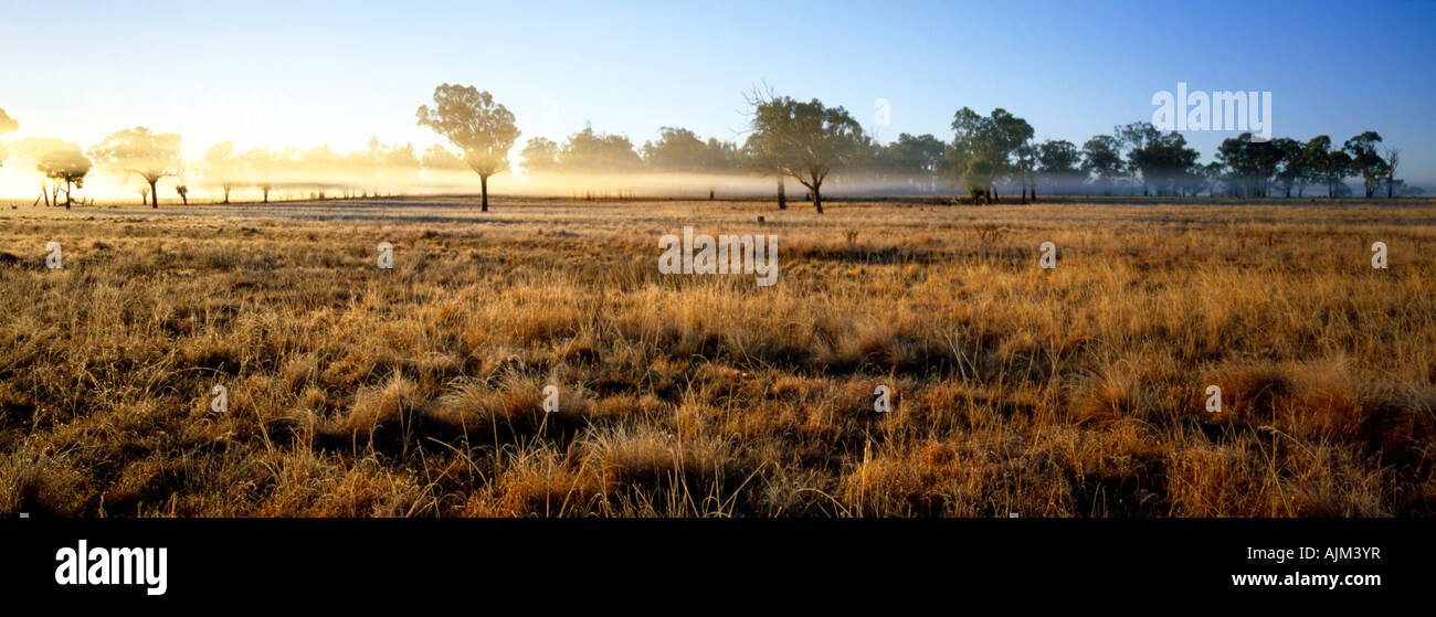 Frosted grass and layers of mist are hilighted by the rising sun as a new day dawns on rural pastures, Armidale NSW Australia Stock Photo