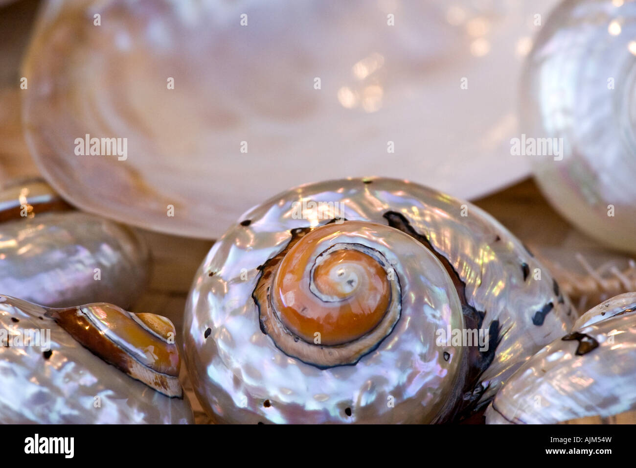 polishing shells Stock Photo - Alamy