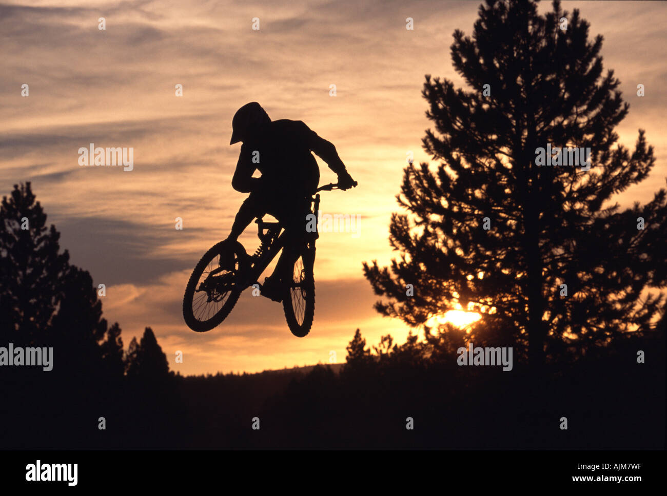 A man jumping his bike while mountain biking near Truckee CA Stock Photo