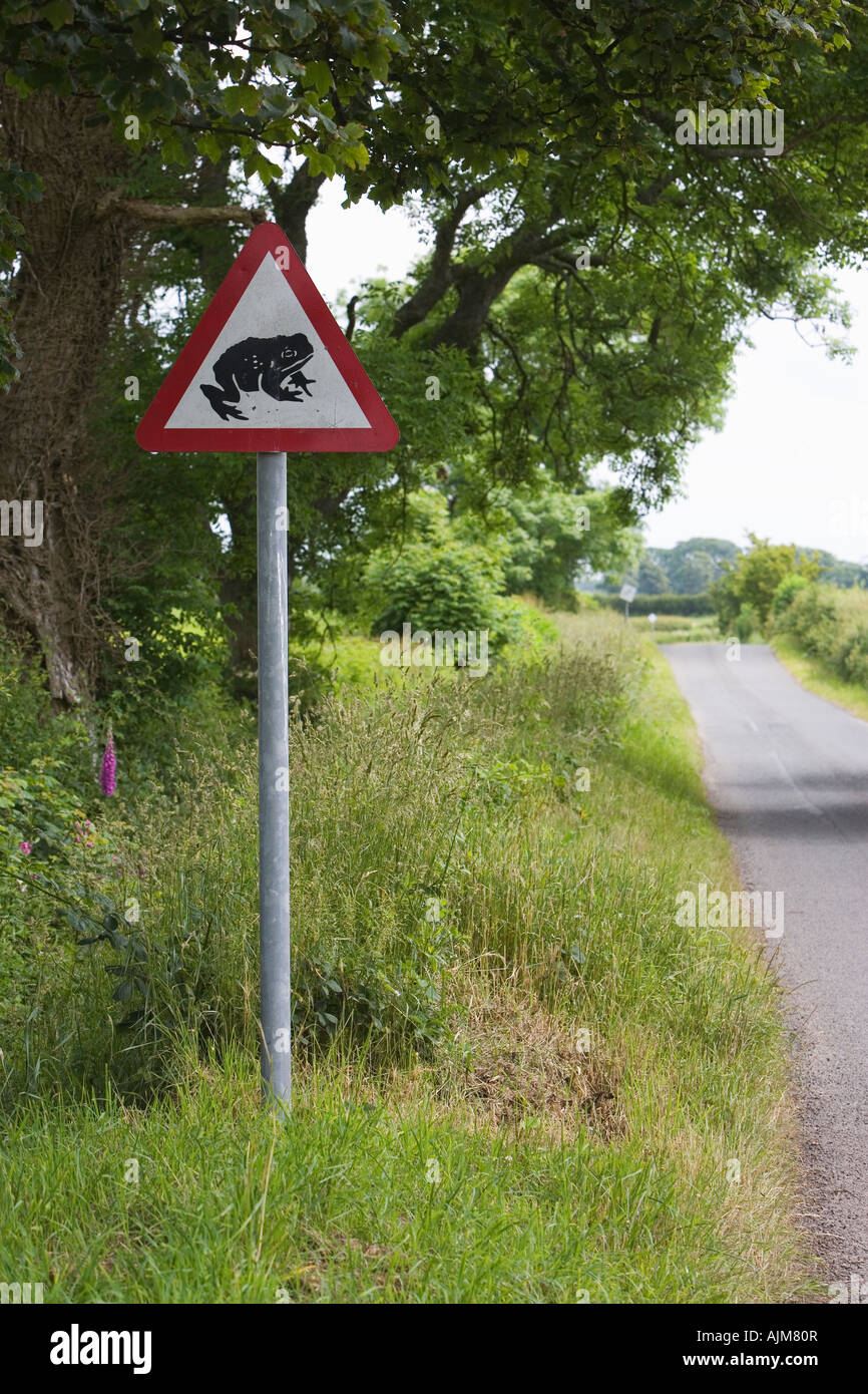 Toad Crossing sign on quiet country lane Caerlaverock Dumfries and Galloway Scotland Stock Photo