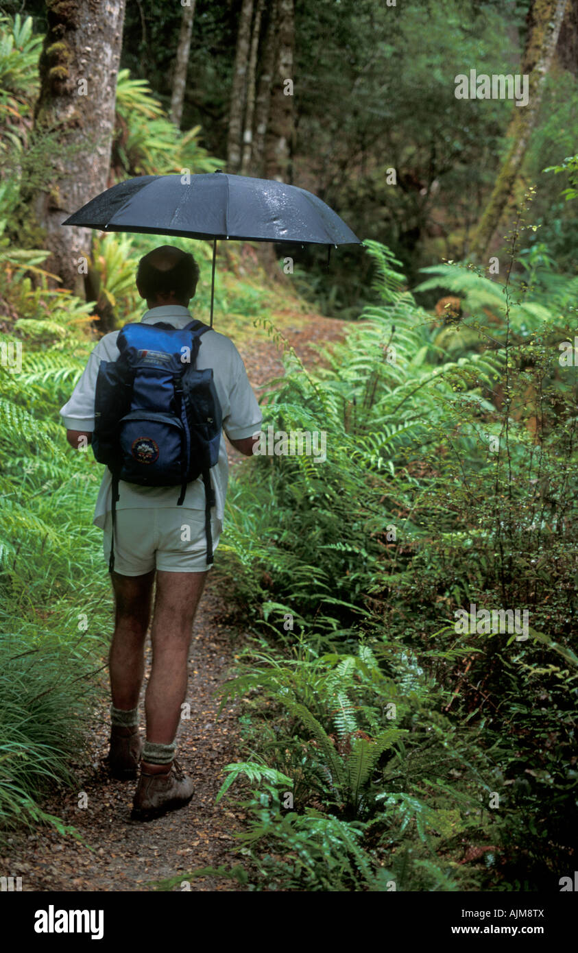 Man walking through rain with umbrella in New Zealand Stock Photo