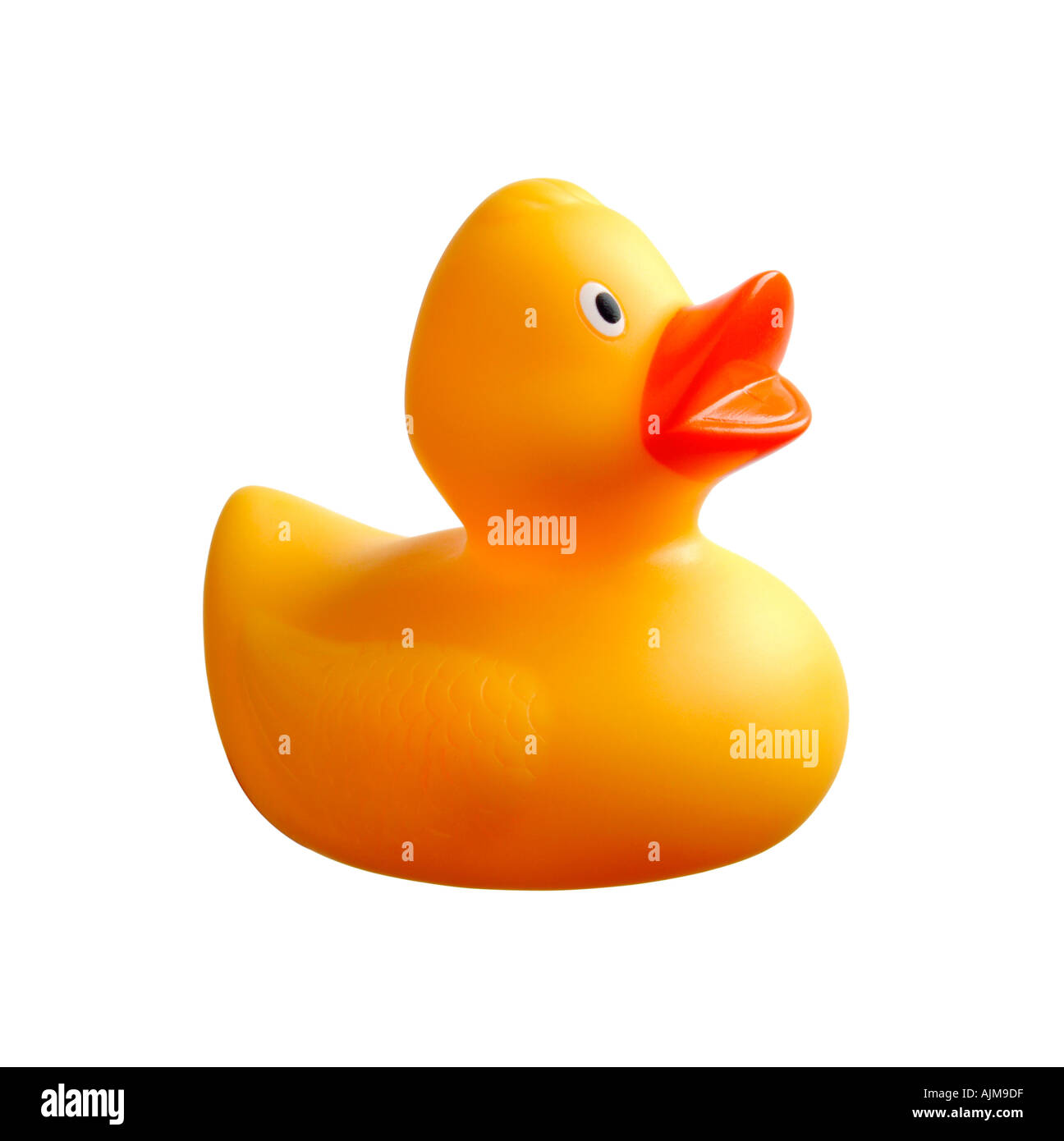 yellow plastic duck Stock Photo