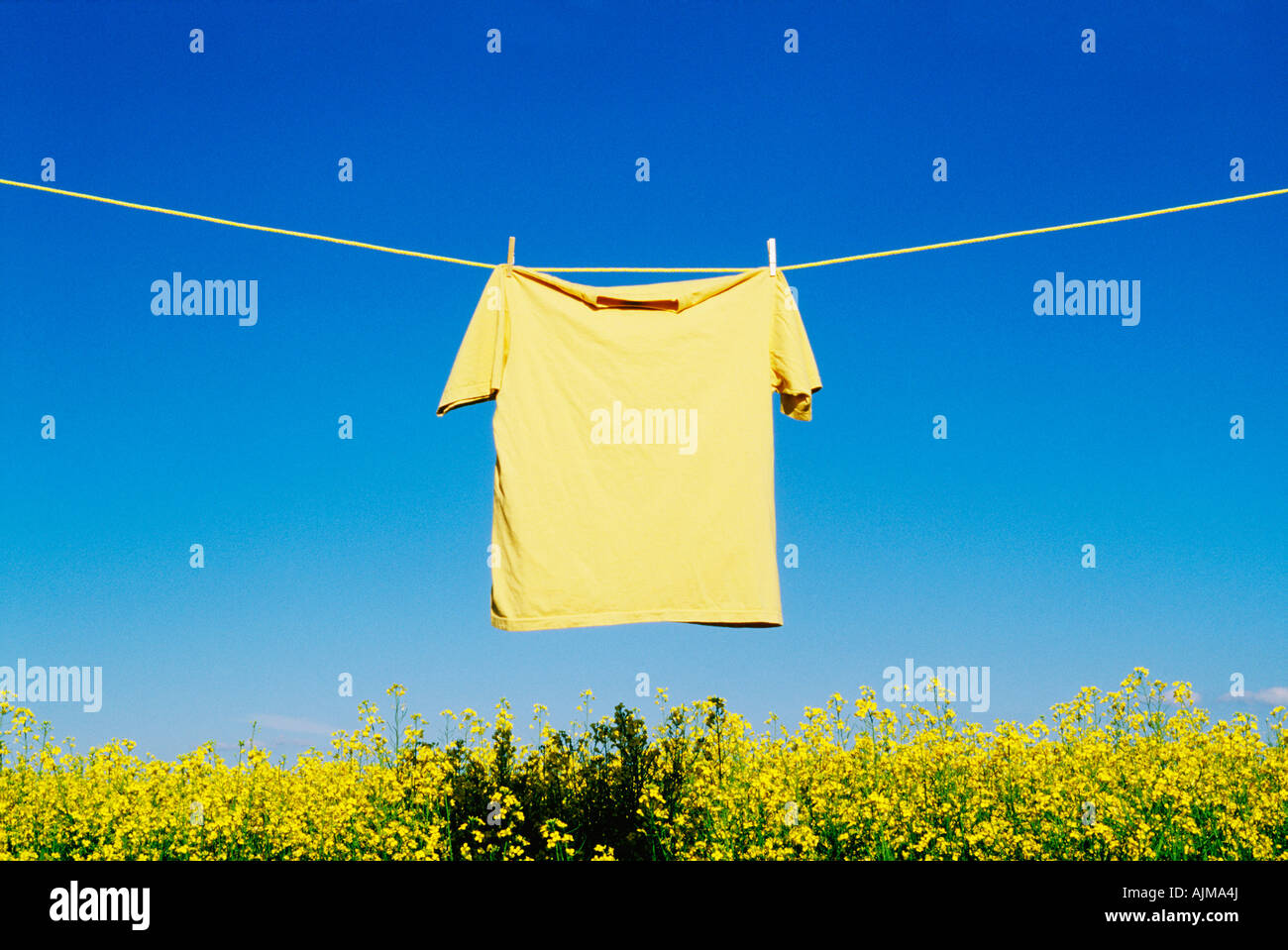 Shirt hanging to dry on clothesline Stock Photo