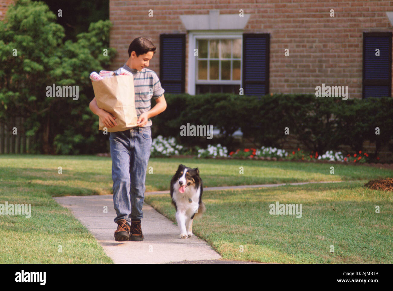 Boy carries groceries with his dog walking alongside him Stock Photo