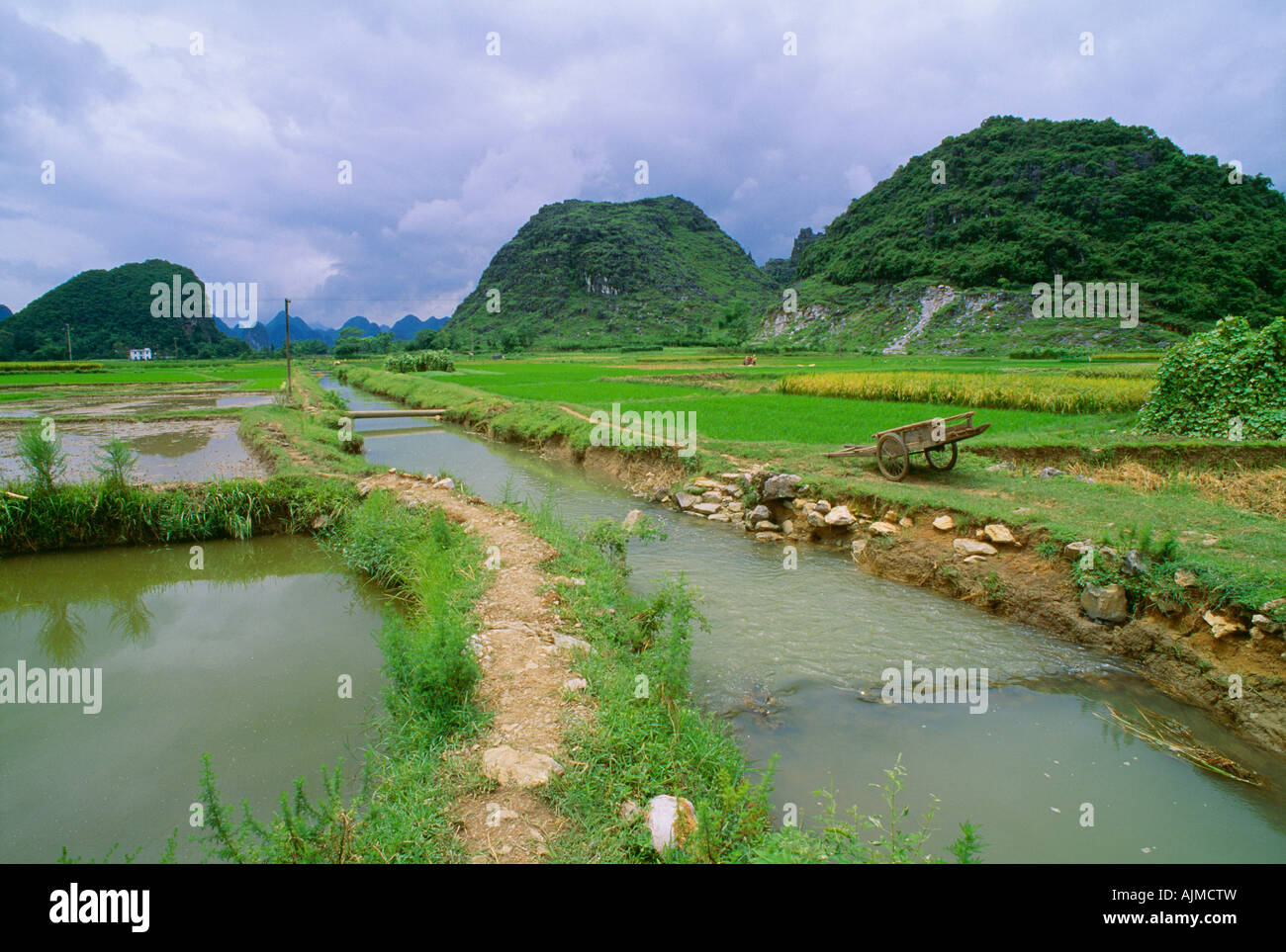 Rice fields and irrigation ditch in Yangshuo, Guanxi, China Stock Photo